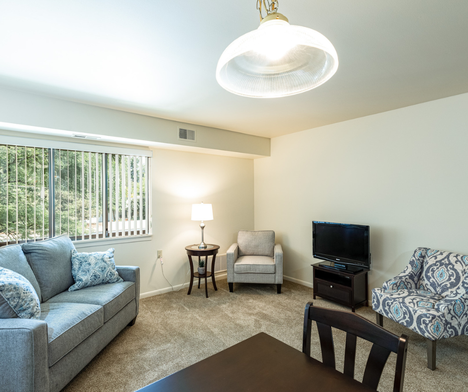 Fox Apt Living Room 1